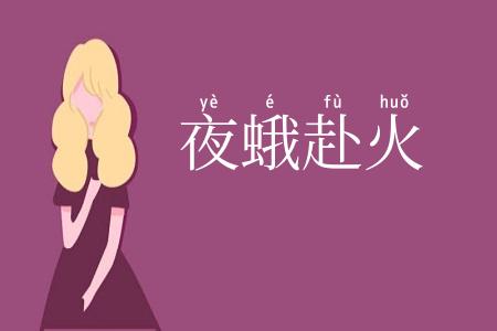 夜蛾赴火
