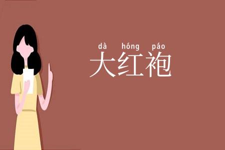 大红袍
