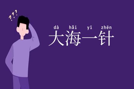 大海一针