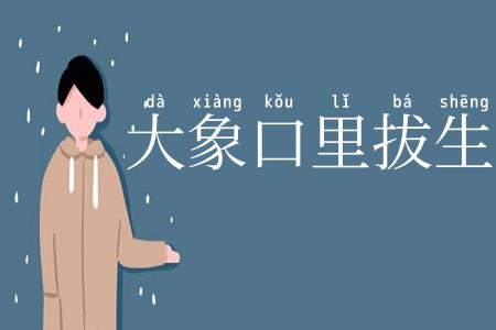 大象口里拔生牙