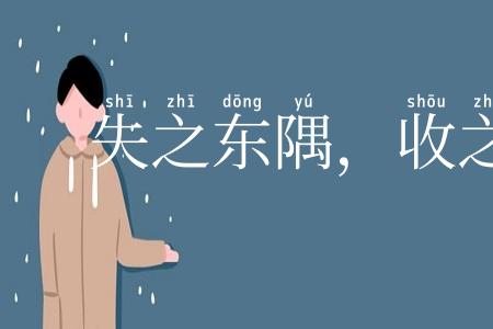 失之东隅，收之桑榆