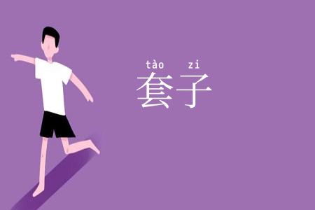 套子
