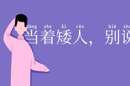 当着矮人，别说矮话