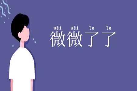 微微了了