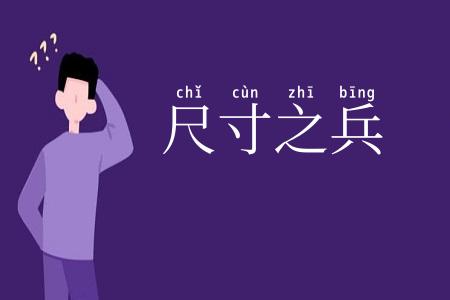 尺寸之兵