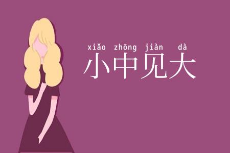 小中见大