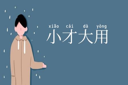 小才大用