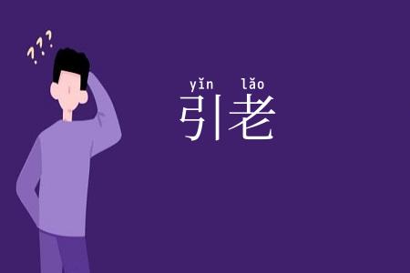 引老