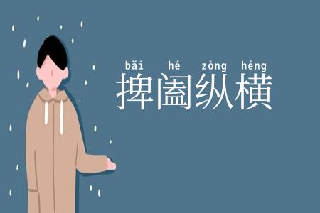 捭阖纵横