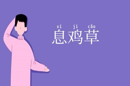 息鸡草