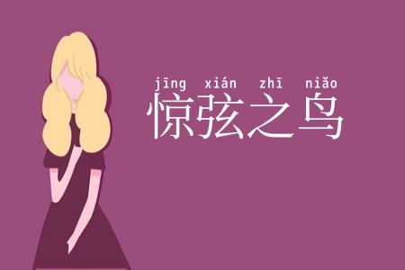 惊弦之鸟