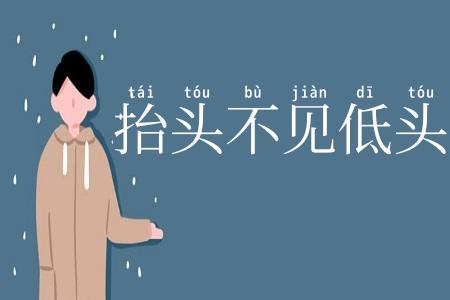 抬头不见低头见