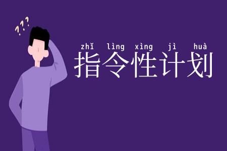 指令性计划