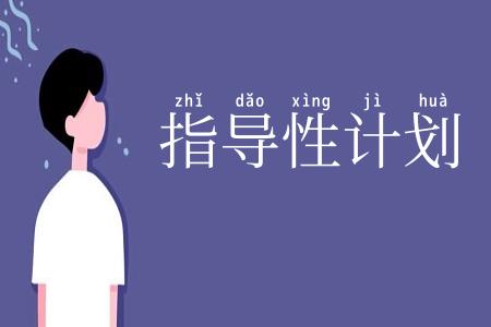 指导性计划