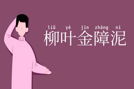 柳叶金障泥