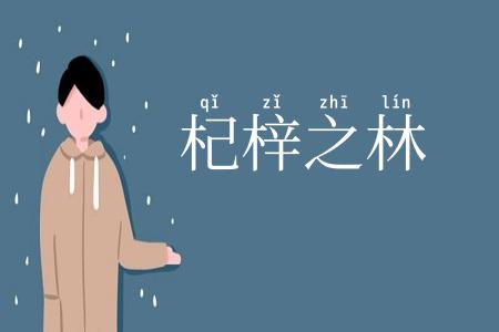 杞梓之林