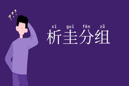 析圭分组