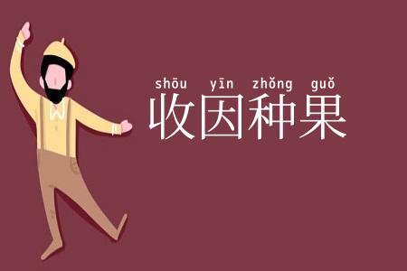 收因种果