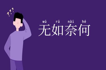 无如奈何