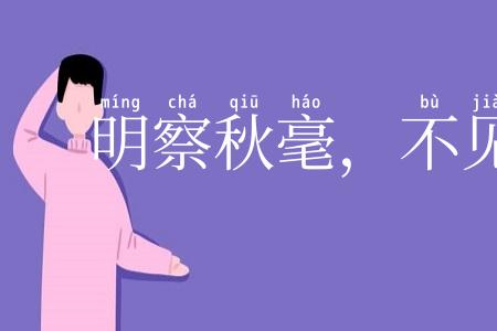 明察秋毫，不见舆薪