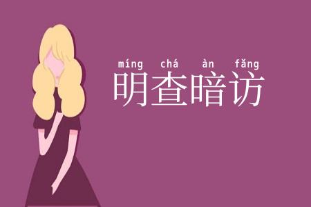 明查暗访