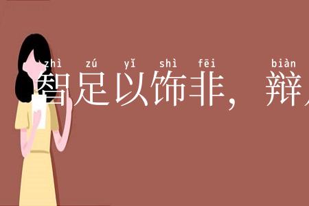 智足以饰非，辩足以行说