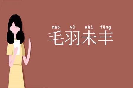 毛羽未丰