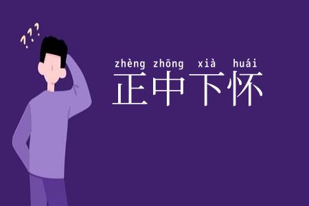 正中下怀