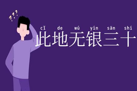 此地无银三十两