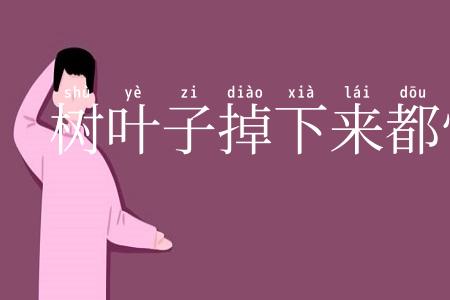 树叶子掉下来都怕打了头