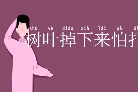 树叶掉下来怕打破头