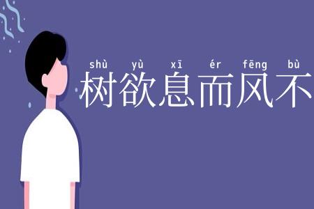 树欲息而风不停