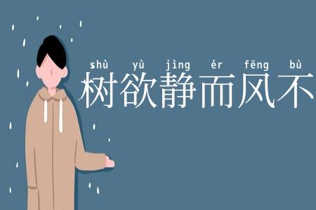 树欲静而风不停