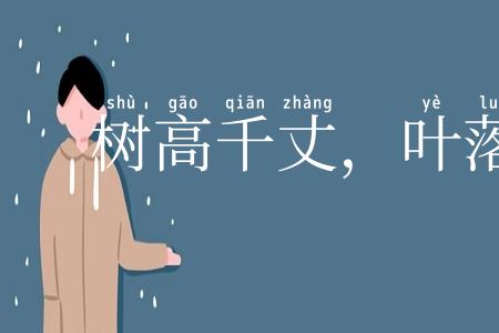 树高千丈,叶落归根