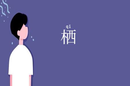 栖