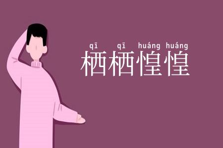 栖栖惶惶