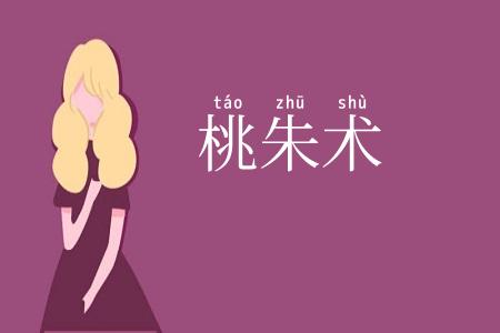 桃朱术