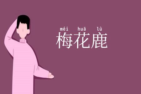 梅花鹿