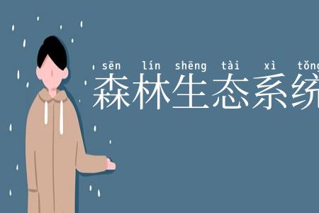 森林生态系统