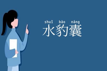水豹囊