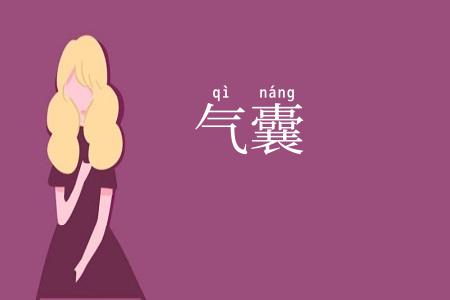 气囊