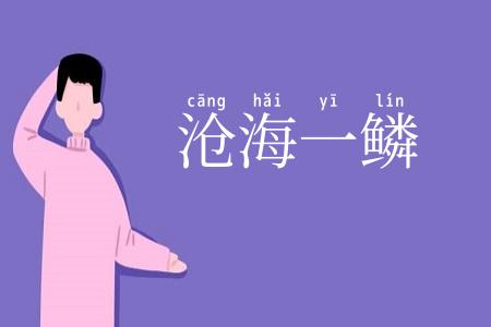 沧海一鳞