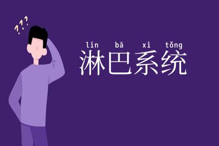 淋巴系统