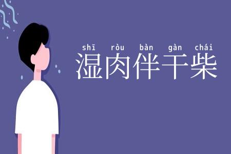 湿肉伴干柴