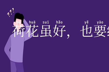 荷花虽好，也要绿叶扶持