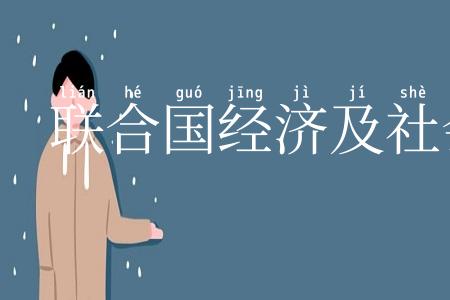 联合国经济及社会理事会
