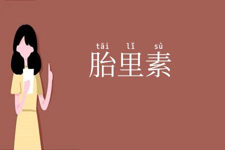 胎里素