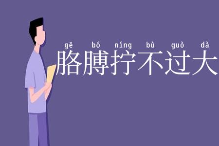 胳膊拧不过大腿