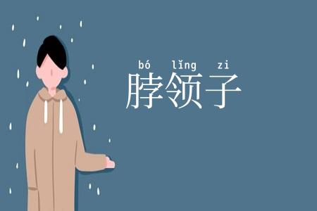 脖领子