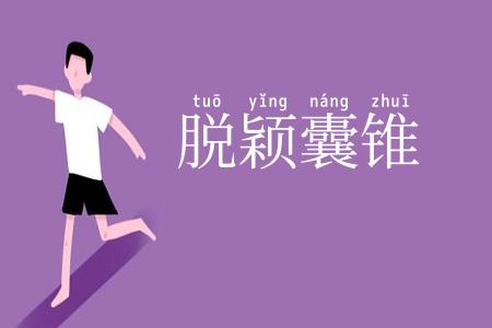 脱颖囊锥